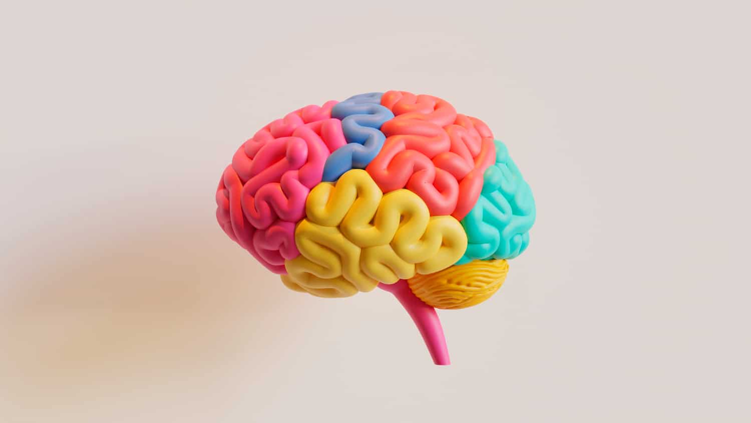 Les images du cerveau bientôt convoquées à l'audience