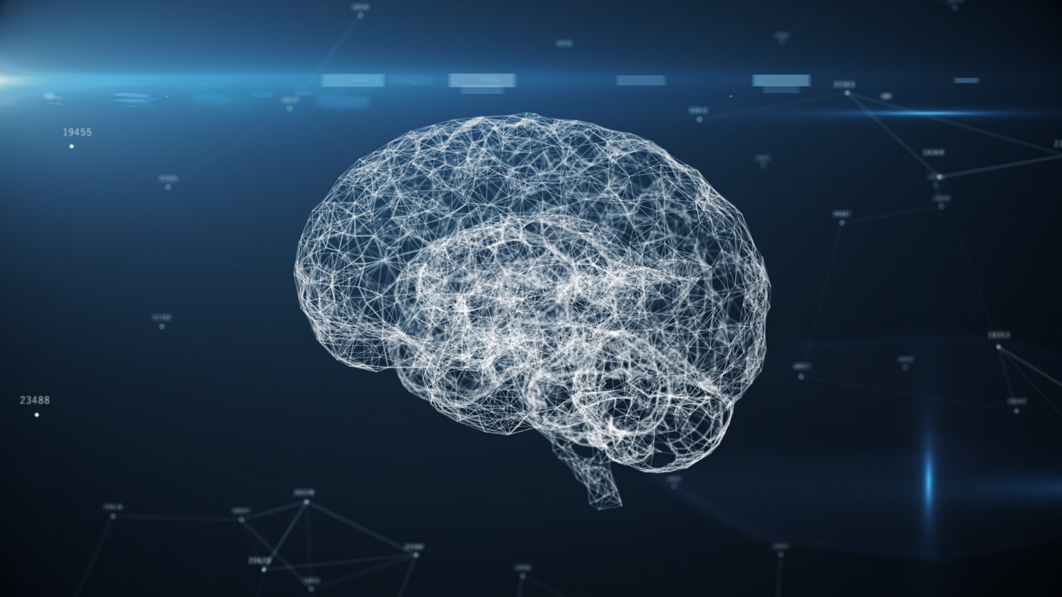 Quand les neurosciences s'invitent au tribunal