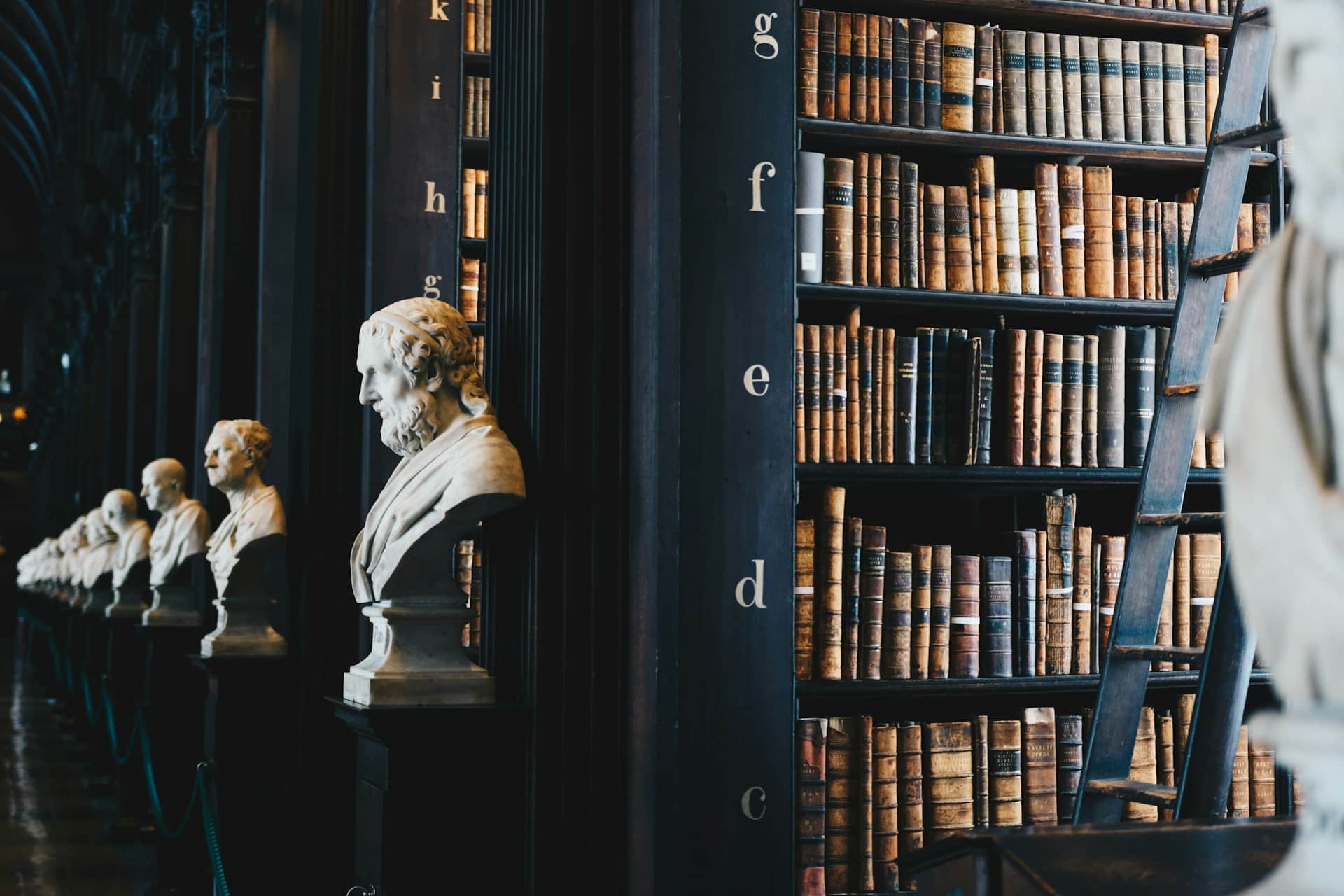 Palmarès des avocats 2023 : les coups de cœur du « Point »