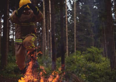 Protection des forêts : « Le manque de consensus et l’absence de volonté politique forte expliquent notre échec »