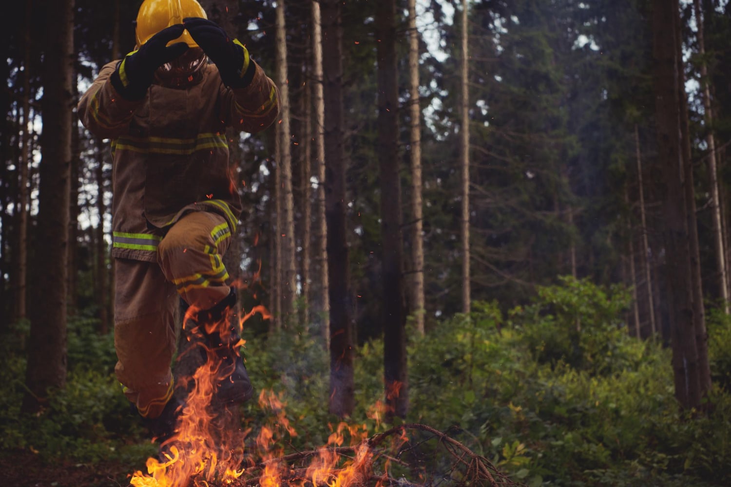 Protection des forêts : « Le manque de consensus et l’absence de volonté politique forte expliquent notre échec »